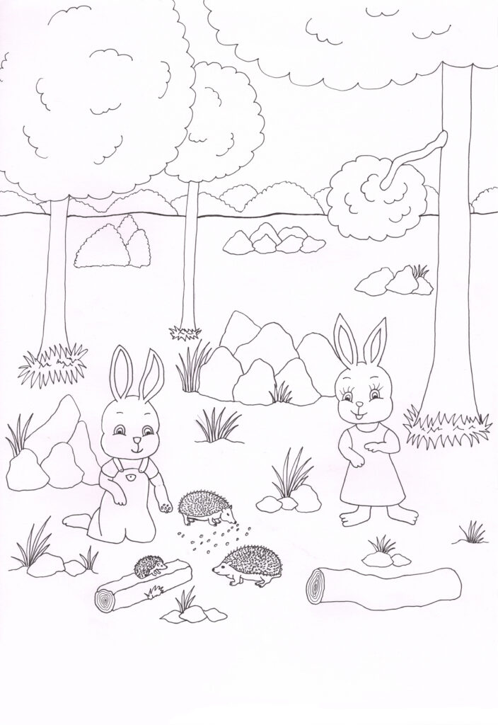 album livre enfant jeunesse éducatif abeille ferme forêt lapinou lapinette lapin coloriage animaux