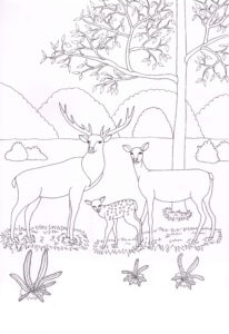 album livre enfant jeunesse éducatif abeille ferme forêt lapinou lapinette lapin coloriage animaux