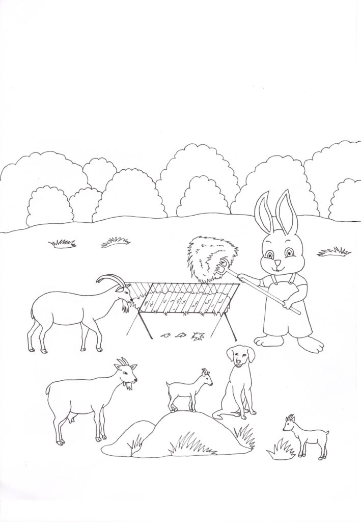 album livre enfant jeunesse éducatif abeille ferme forêt lapinou lapinette lapin coloriage animaux