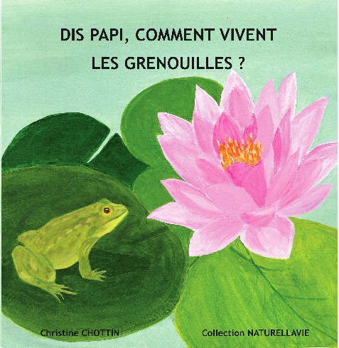 album jeunesse livre enfant grenouille illustration amphibien nature vie petit grand