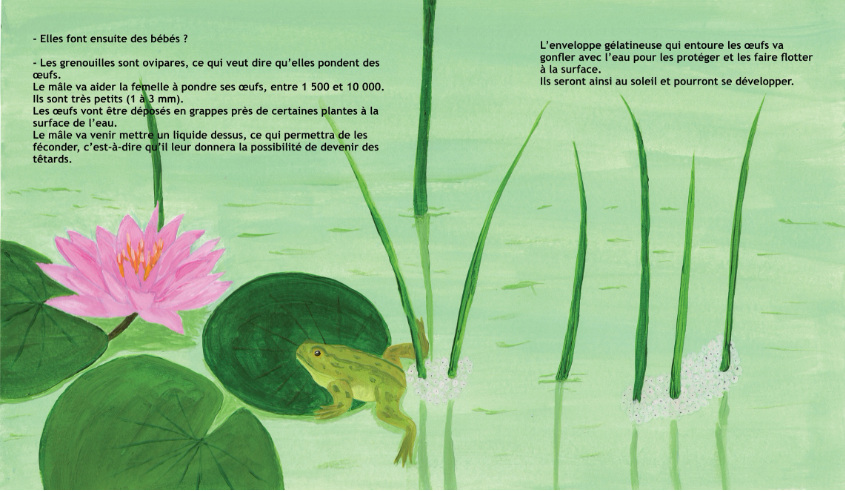 album jeunesse livre enfant grenouille illustration amphibien nature vie petit grand class=