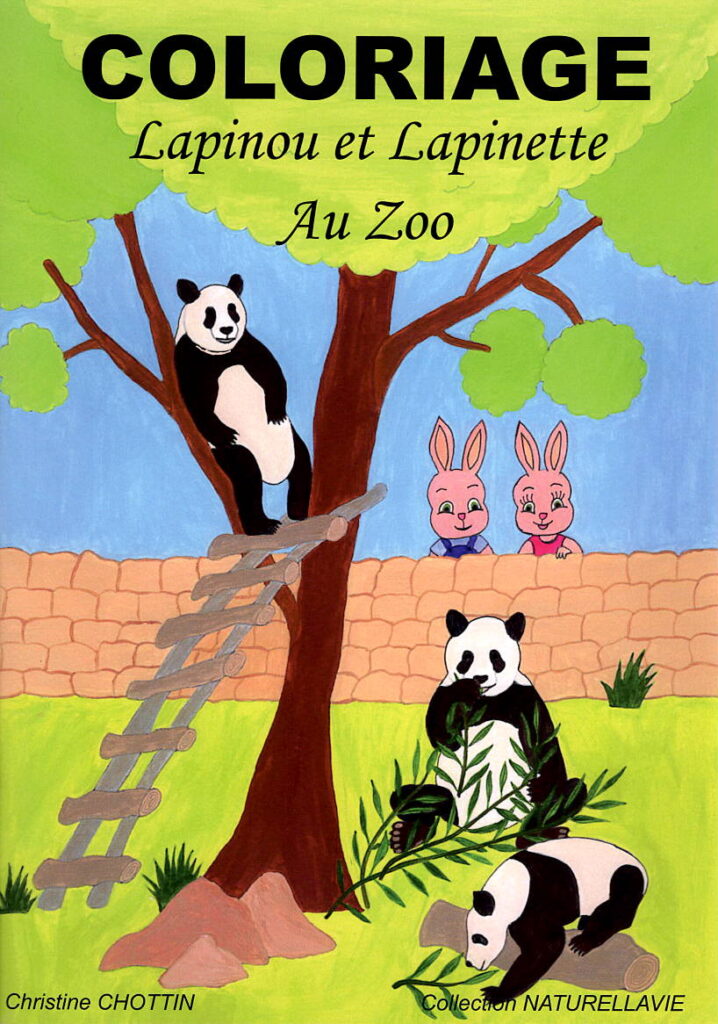 lapinou Lapinette coloriage album enfant jeunesse zoo panda girafe rhinoceros lion lionne elephant tortue ours gorille singe tigre otarie zèbre pelican grue flamant rose cigogne 