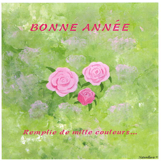voeux carte année naturellavie souhait bonneannee