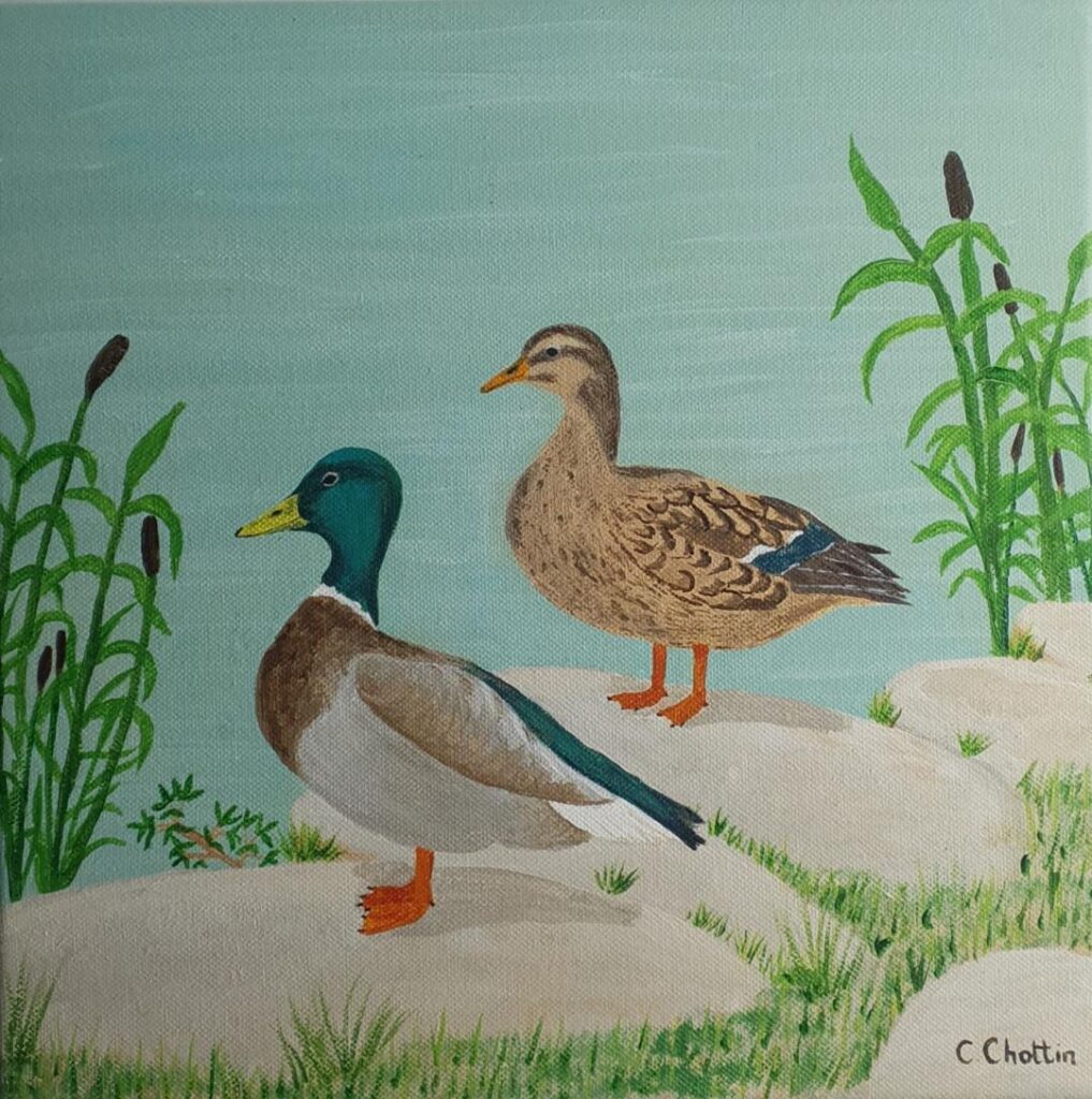 tableau peinture acrylique illustration canard sauvage nature environnement animaux class=